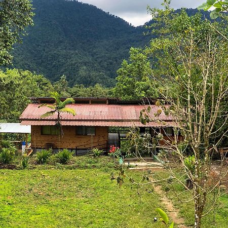Sendero De Las Aves Mindo Εξωτερικό φωτογραφία
