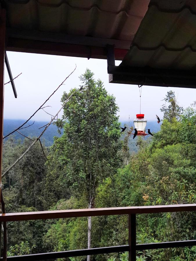 Sendero De Las Aves Mindo Εξωτερικό φωτογραφία