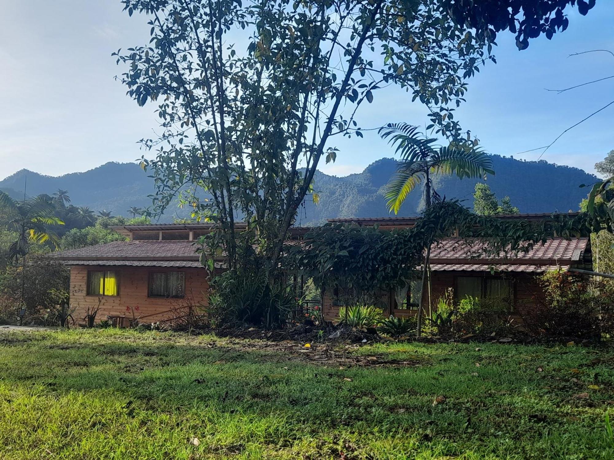 Sendero De Las Aves Mindo Εξωτερικό φωτογραφία